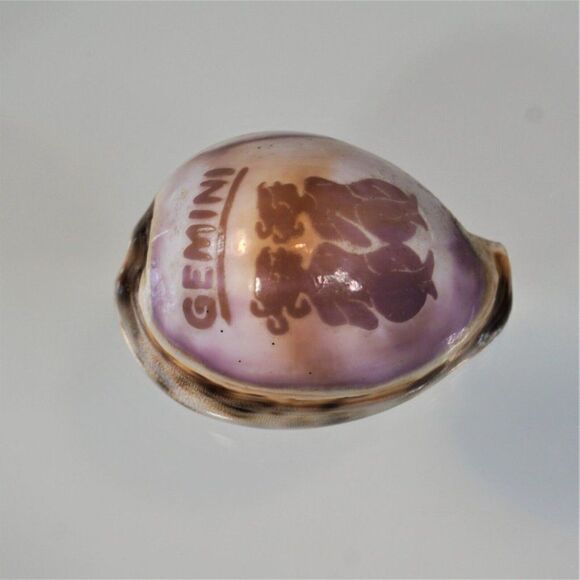 Vintage Cowrie Seashell Gemini Zodiac Sign - Picture 2 of 7